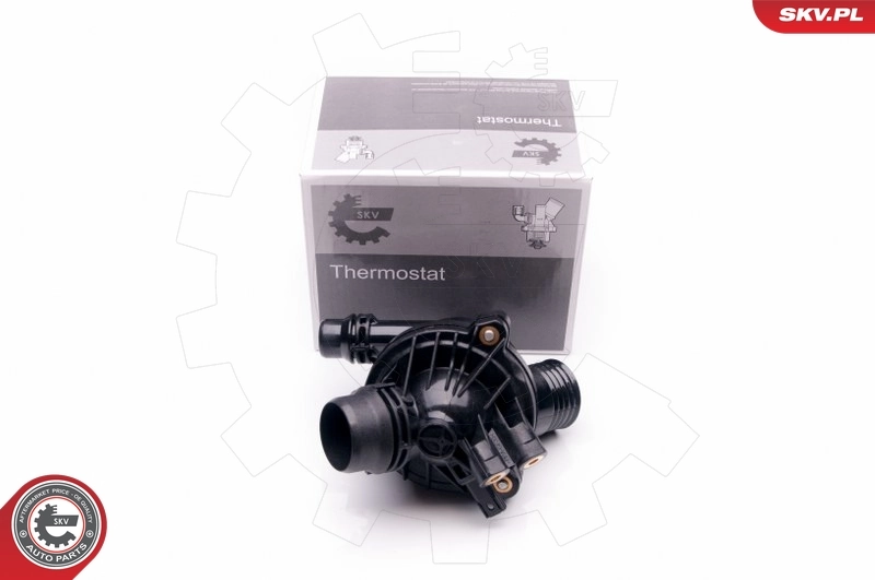 Thermostat, coolant